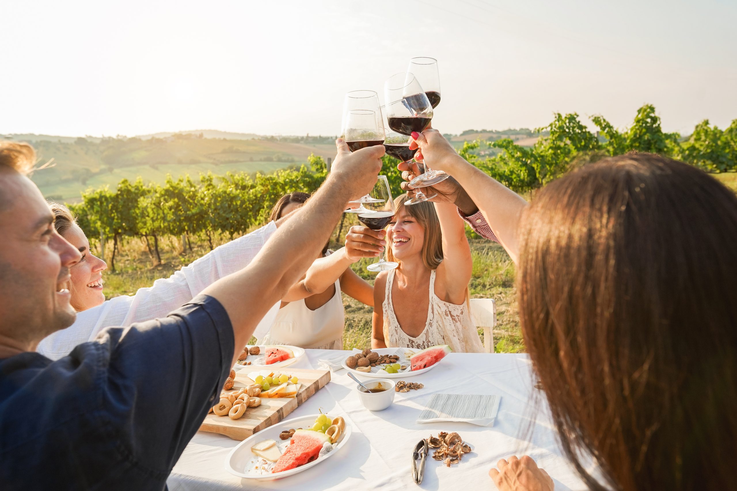 Happy adult friends having fun drinking red wine and eating together with vineyard in background - Multiracial people doing appetizer at summer time in countryside resort - Main focus on hands | Holiday Planit Friends raise wine glasses in a toast at an outdoor vineyard table with fruit and cheese centerpiece in sunlight.