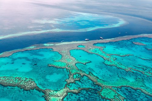 Aerial view of a tropical ocean with bright turquoise lagoons and winding coral reef channels, and a few boats near the reef edge.